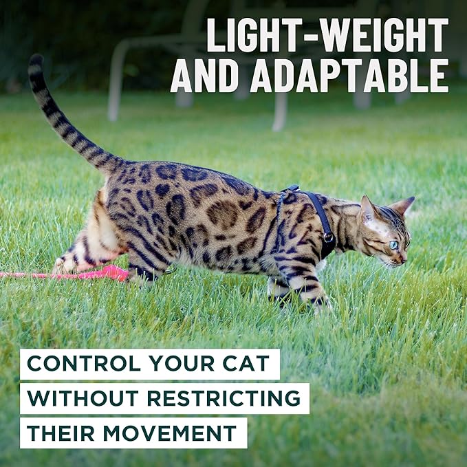 Houdini™ Escape Proof Cat Harness and Leash Set by OutdoorBengal – Red, Large Cat Harness for Walking Big Cats