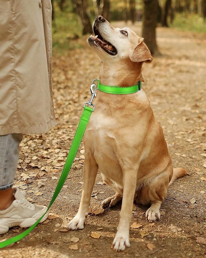 TagME Reflective Nylon Dog Collars, Adjustable Classic Collar with Quick Release Buckle for Puppy, Green, 3/8" Width