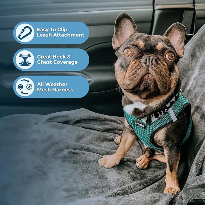Best Pet Supplies - All Weather Mesh/Plush, Reflective, No Pull Harness for Small, Medium Dogs, Cats - Secure with Hook & Loop Fastener, Buckle, Double D-Rings - Turquoise 2-Tone, XS