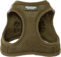 Downtown Pet Supply Step in Dog Harness for Small Dogs No Pull, Medium, Hunter Green - Adjustable Harness with Padded Mesh Fabric and Reflective Trim - Buckle Strap Harness for Dogs