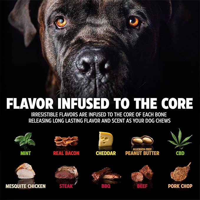 Pet Qwerks Dinosaur BarkBone - Nylon Dog Bone for Aggressive Chewers - Bacon Flavor - 9.75"