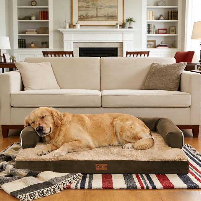 Orthopedic Dog Beds for Extra Large Dogs, Waterproof Egg Crate Foam XL Dog Bed with Sides 41x27Inch, Washable Big Dogs Couch Beds with Removable Cover and Nonskid Bottom, Brown