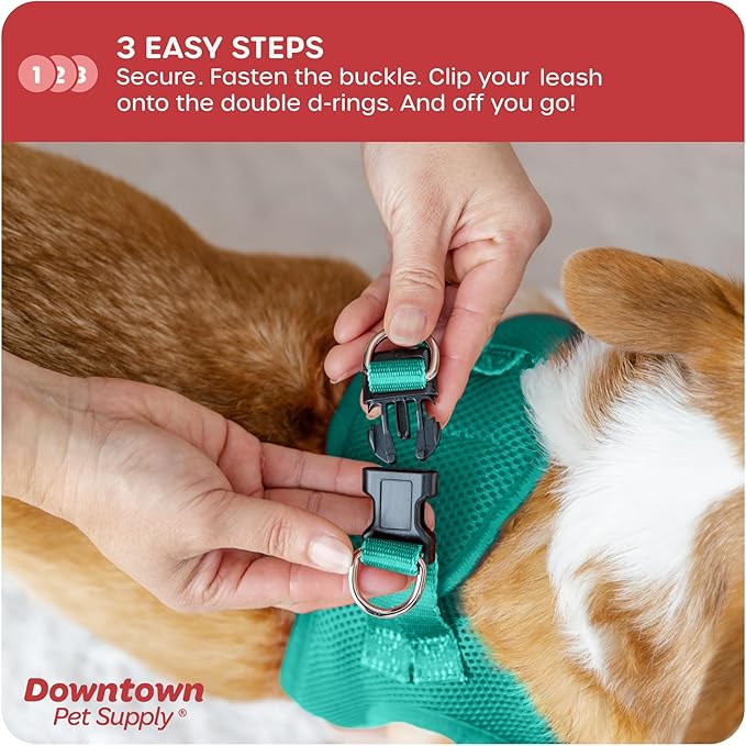 Downtown Pet Supply Step-in Dog Harness – No Pull, Adjustable Padded Mesh with Reflective Trim, Secure Buckle Strap – Comfortable & Breathable Small Dog Harness, Small, Bermuda Blue
