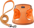 Dog Harness with Leash Set, No Pull Adjustable Reflective Step-in Puppy Pet Vest Harnesses for Small Medium Large Dogs and Cats,Orange M