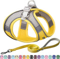 AIITLE No Pull Dog Harness and Leash Set, Step in Adjustable Dog Harness with Padded Vest for All Weather, Dog Leash with Soft Padded Handle, Easy to Put on Small and Medium Dogs Yellow S