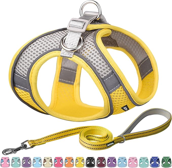 AIITLE Easy Walk Dog Harness and Leash Set - Pet Supply No Pull, Step in Adjustable Dog Harness with Padded Vest, Dog Harness No Choke Over, Easy to Put on Medium Dogs Yellow L