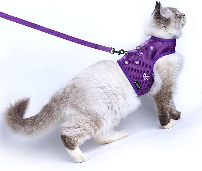 Kitty Harness and Leash for Walking Escape Proof Breathable Mesh Fabric, Purple, X-Small, Adjustable Cat Walking Jackets with DIY Beads, Padded Stylish Cat Vest