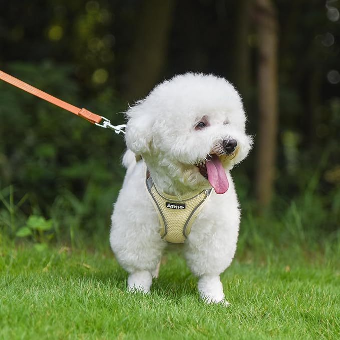 AIITLE Easy Walk Dog Harness and Leash Set - Pet Supply No Pull, Step in Adjustable Dog Harness with Padded Vest, Dog Harness No Choke Over, Easy to Put on Medium Dogs Beige L