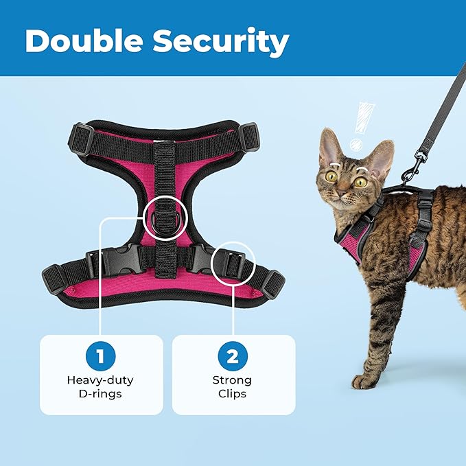 Voyager Escape-Proof Step-in Lock Cat Harness & 5ft Neoprene-Handle Leash Set All-Weather Mesh with Reflective Stitching for Small to Large Cats by Best Pet Supplies, Black Trim-Fuchsia (327), XS