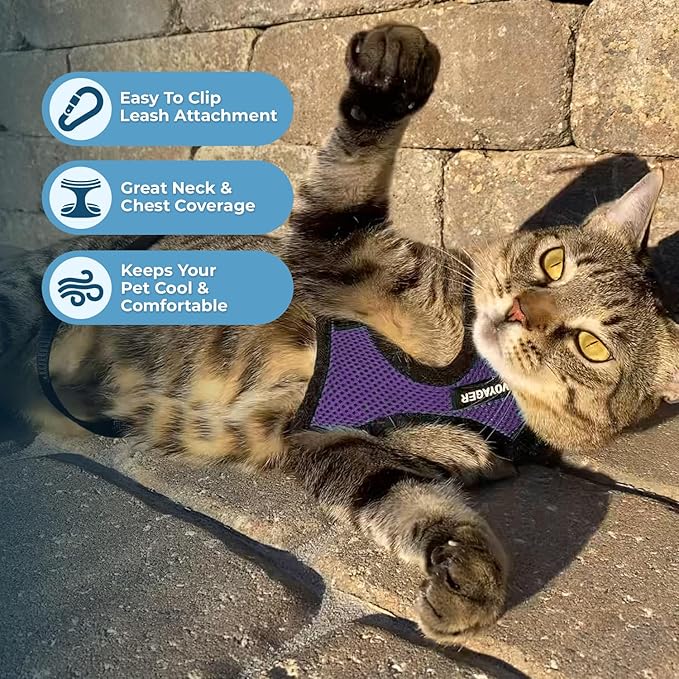 Voyager Escape-Proof Step-in Lock Cat Harness & 5ft Neoprene-Handle Leash Set All-Weather Mesh with Reflective Stitching for Small to Large Cats by Best Pet Supplies, Purple/Black Trim, S