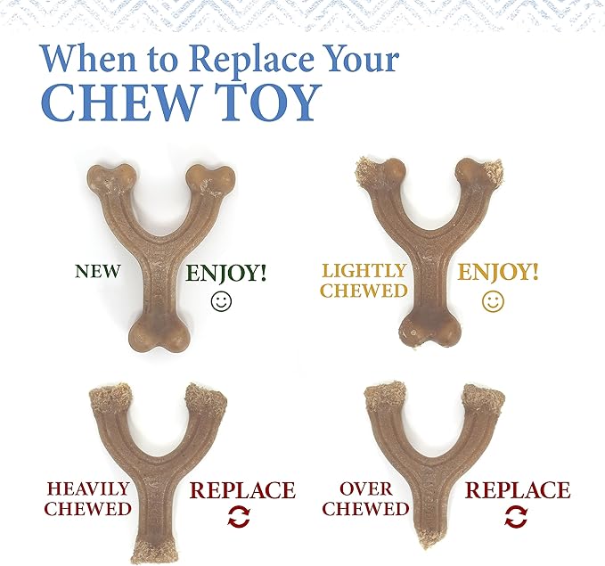 Nylabone Gourmet Style Stick Strong Chew Toy for Puppies, Soothing Puppy Teething Toys, Puppy Enrichment, Chicken Flavor, Medium - Up to 35 lbs., 1 Count
