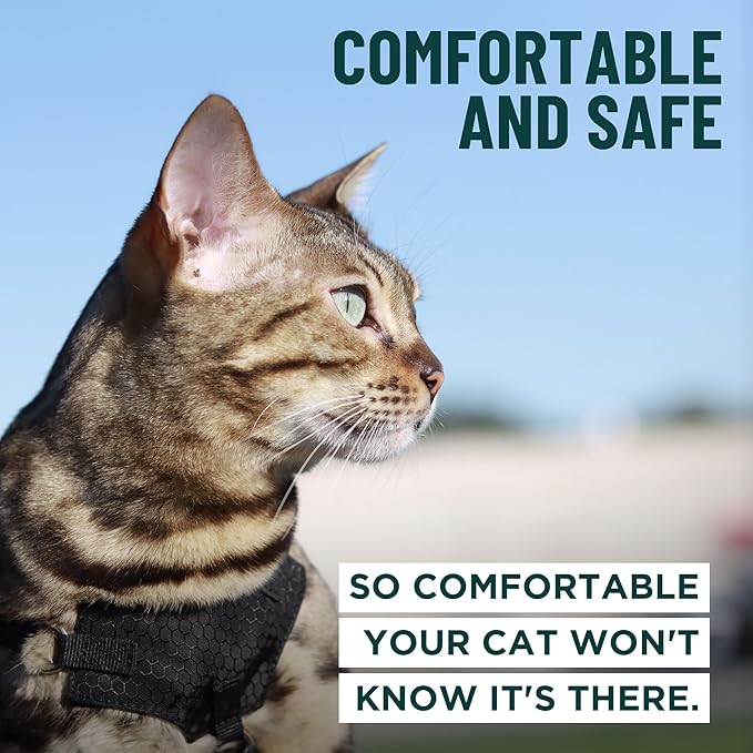 Houdini™ Escape Proof Cat Harness and Leash Set by OutdoorBengal – Black, Large Cat Harness for Walking Big Cats