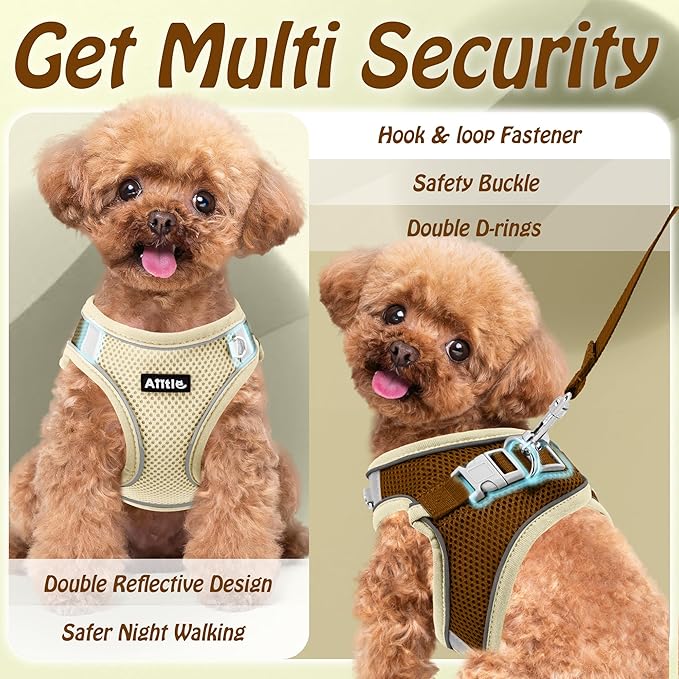 AIITLE Easy Walk Dog Harness and Leash Set - Pet Supply No Pull, Step in Adjustable Dog Harness with Padded Vest, Dog Harness No Choke Over, Easy to Put on Medium Dogs Beige L