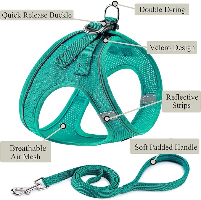 Dog Harness with Leash Set, No Pull Adjustable Reflective Step-in Puppy Pet Vest Harnesses for Small Medium Large Dogs and Cats,Forest Green XXS