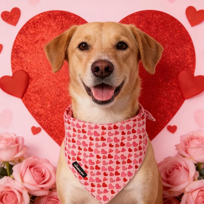 ARING PET Valentine Dog Bandana, Cute Pink Red Pink Pet Bandanas Scarf Triangle Bibs Handkerchief for Puppy Small Medium Large Boy Girl Dogs-L