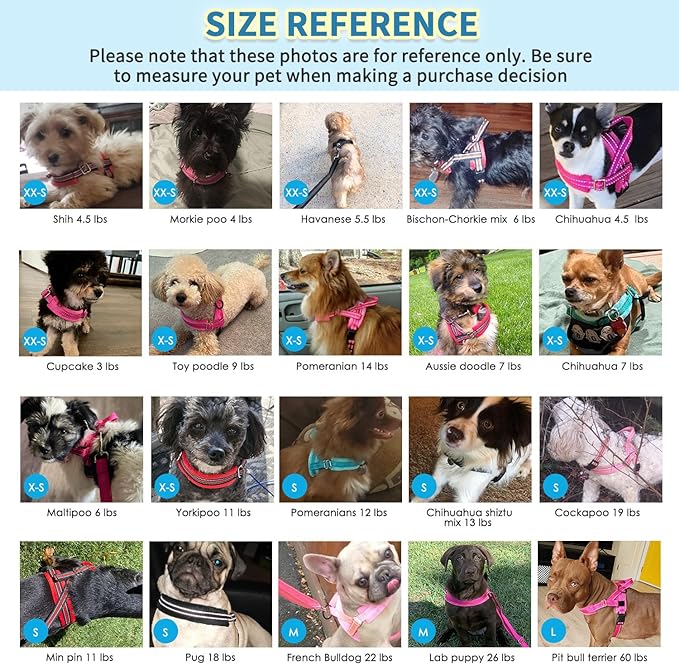 SlowTon No Pull Small Dog Harness and Leash Set, Puppy Soft Vest Harness Neck & Chest Adjustable, Reflective Lightweight Harness & Anti-Twist Pet Lead Combo for Small Medium Dogs (PU-Front Clip, S)