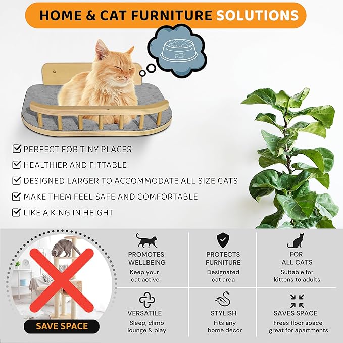Cat Wall Shelves with 3 Steps – Modern Wood Wall Mounted Furniture, Climber & Perch Shelf for Cats up to 30lbs – Sturdy Floating Bed for Large Cats