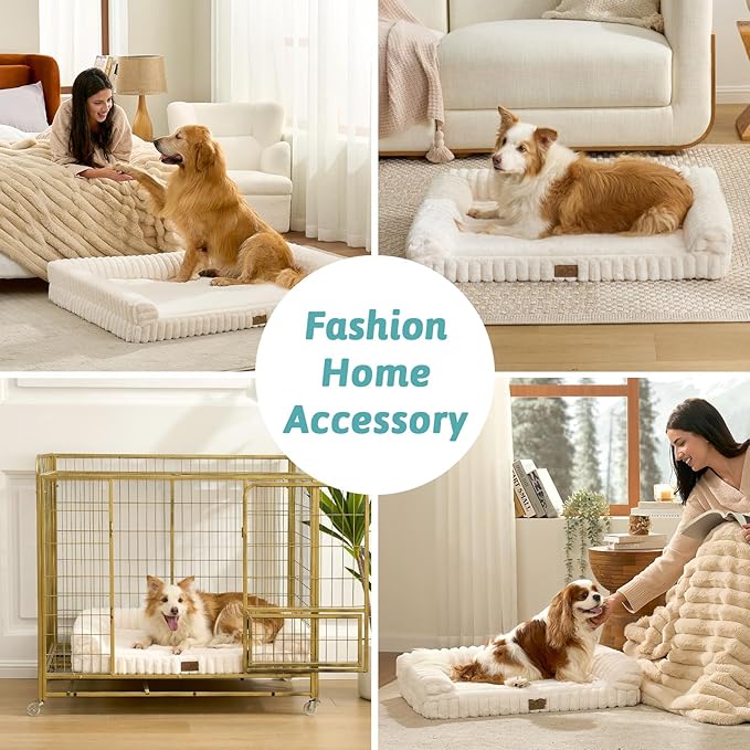 Cute Dog Bed for Medium Dogs, Faux Rabbit Fur Orthopedic Foam Dog Bed with Sides, Removable Washable Cover & Waterproof Lining, Comfortable Pet Couch, Cream (36" L x 27" W x 6.5" Th)
