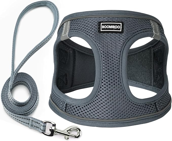 Dog Harness with Leash Set, No Pull Adjustable Reflective Step-in Puppy Pet Vest Harnesses for Small Medium Large Dogs and Cats,Grey S