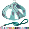 AIITLE Escape Proof Dog Harness - Step in Adjustable Dog Harness No Choke Over with Breathable Mesh and Quick-Release Buckle - Outdoor Walking, Training for Medium Dogs Pure Turquoise XL