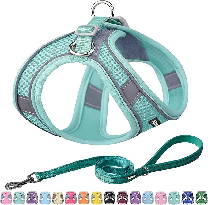 AIITLE Step in Dog Harness and Leash Set - No Pull Escape Proof Vest Harnesses with Soft Mesh and Reflective Bands, Adjustable Pet Outdoor Harnesses for Small and Medium Dogs Pure Turquoise M