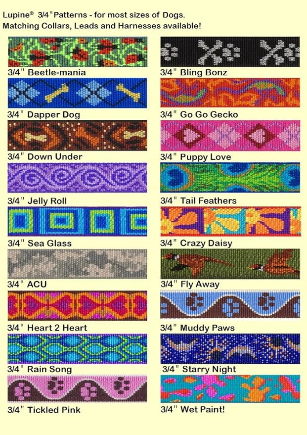 LupinePet Originals 3/4" Sea Glass 15-25" Adjustable Collar for Large Dogs
