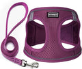 Dog Harness with Leash Set, No Pull Adjustable Reflective Step-in Puppy Pet Vest Harnesses for Small Medium Large Dogs and Cats,Cranberry M