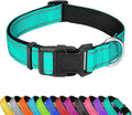 Reflective Dog Collar, Adjustable Soft Neoprene Padded Nylon Pet Collars with Buckle for Extra Large Dogs, Teal,XL