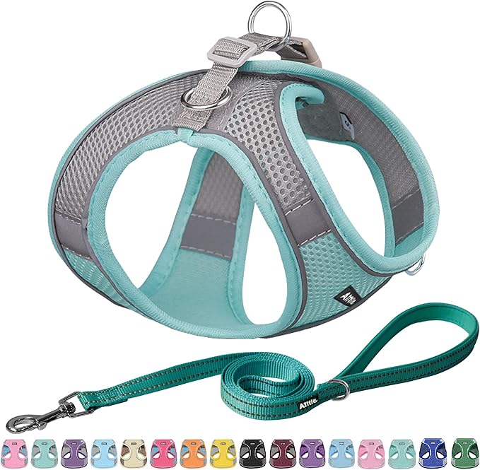 AIITLE Escape Proof Dog Harness - Step in Adjustable Dog Harness No Choke Over with Breathable Mesh and Quick-Release Buckle for All Weather- Outdoor Walking, Training for Medium Dogs Turquoise XL