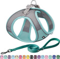 AIITLE Comfortable Dog Harness and Leash Set for Walking - Step in Vest Harness,Reflective Bands, Adjustable No Pull Puppy Essentials, for Small Dogs and House Cats Turquoise XS