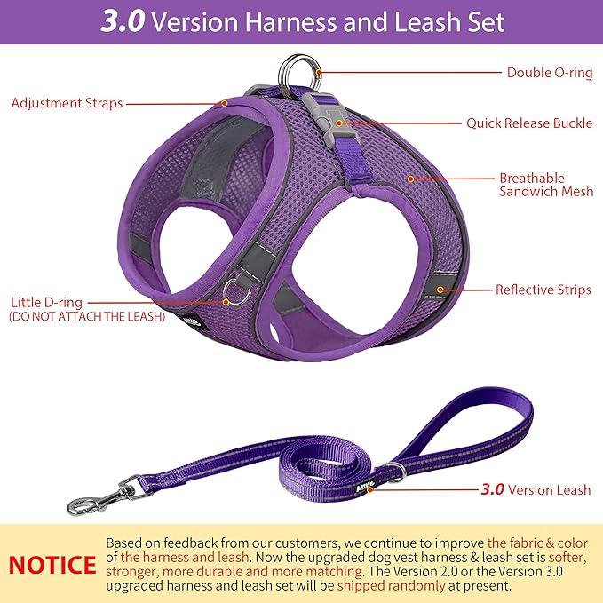 AIITLE Comfortable Dog Harness and Leash Set for Walking - Step in Vest Harness,Reflective Bands, Adjustable No Pull Puppy Essentials, for Small Dogs and House Cats Pure Purple XS