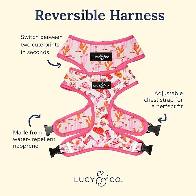 Lucy & Co. Little Lamb Adjustable Dog Collar- Cute Designer Pet Collar for Small, Medium, Large Dogs- Buckle Closure Dog Accessories, Large, Yellow Floral