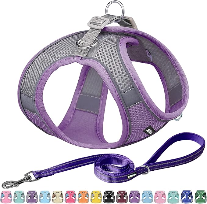 AIITLE Small Harness for Puppy with A Leash - Dog Vest Harness with Super Breathable Mesh, Reflective No-Pull Pet Harness for Outdoor Walking, Running for Small Dogs, Cats Purple XXS