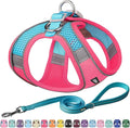 AIITLE Easy Walk Dog Harness and Leash Set - Pet Supply No Pull, Step in Adjustable Dog Harness with Padded Vest for All Weather, Dog Harness No Choke Over, Easy to Put on Medium Dogs Hot Pink L