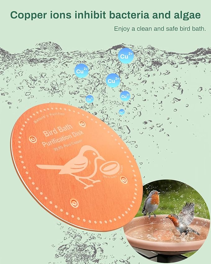 Bird Bath Purification Disk Pure Copper Outside Winter Solar Power Birdbath Hanging Bowl Pedestal Humming Feeder Fountain Cleaner Outside Dispenser Heater Garden Small Large Accessories 4pcs