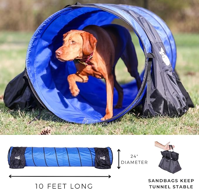 Better Sporting Dogs Premium Starter Dog Agility Set w/Safety-Focused Features | 5Pc Agility Kit | Bar Jump w/Cup Strips | Breakaway Tire Jump | Weave Poles | 10’ Tunnel & Sandbags | Pause Box