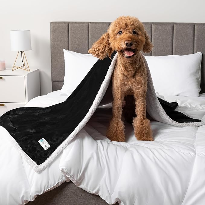 PetAmi Waterproof Dog Blanket for Medium Large Dog Puppy Cat Throw for Couch Cover Leakproof Protection, Sherpa Fleece, Reversible Soft Washable 60x40 Black