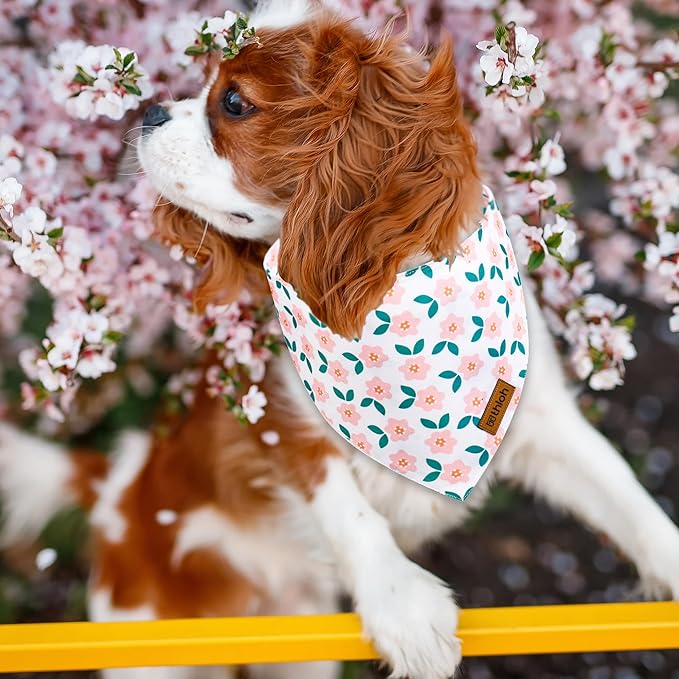 Spring Dog Bandanas with Snap Button, 2 Pack Floral Dog Scarf for Boy & Girl, Premium Durable Fabric, Adjustable Fit, Unique Shape, Gift for Dogs, Daisy Bandana for Small Dogs (Small)