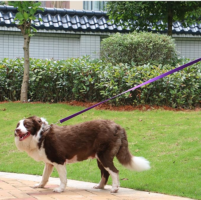 AMAGOOD Dog/Puppy Obedience Recall Training Agility Lead-15 ft 20 ft 30 ft 50 ft Long Leash-for Dog Training,Tie Out,Play,Safety,Camping (30Feet x 1Inch, Purple)