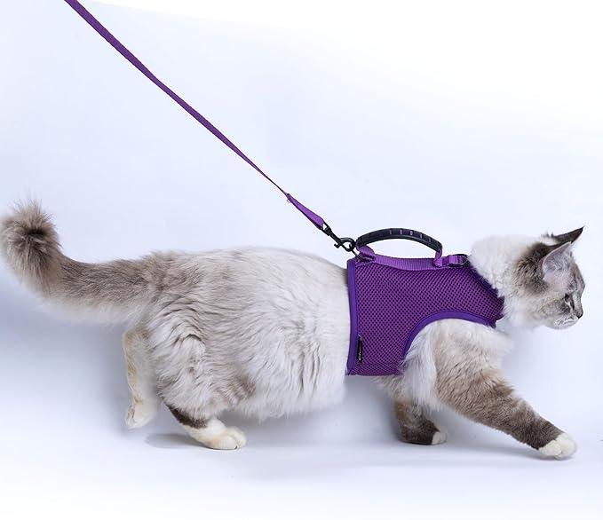 Kitty Harness and Leash for Walking Escape Proof Breathable Mesh Fabric, Purple, X-Small, Adjustable Cat Walking Jackets with Handle, Padded Stylish Cat Vest