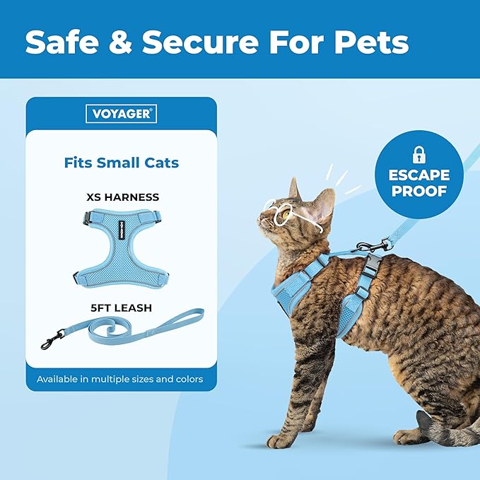 Voyager Escape-Proof Step-in Lock Cat Harness & 5ft Neoprene-Handle Leash Set All-Weather Mesh with Reflective Stitching for Small to Large Cats by Best Pet Supplies, Baby Blue (327), XS