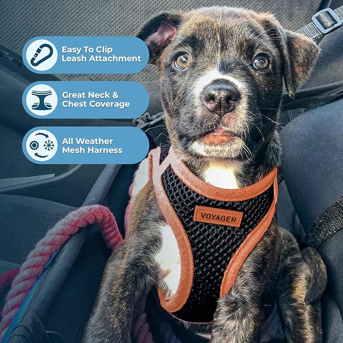 Best Pet Supplies Voyager Step-in Air All Weather Mesh Harness and Reflective Dog 5 ft Leash Combo with Neoprene Handle, for Small, Medium and Large Breed Puppies - Black/Orange Trim, Medium