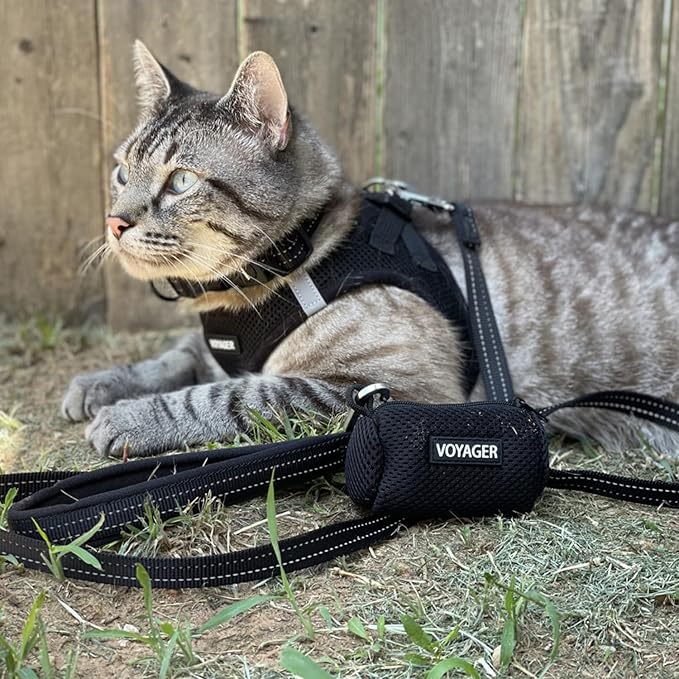 Best Pet Supplies Voyager Step-in Air All Weather Mesh Harness and Reflective Dog 5 ft Leash Combo with Neoprene Handle, for Small, Medium and Large Breed Puppies - Set (Black), XS