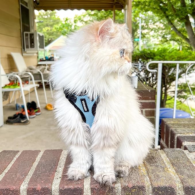 Voyager Escape-Proof Step-in Lock Cat Harness & 5ft Neoprene-Handle Leash Set All-Weather Mesh with Reflective Stitching for Small to Large Cats by Best Pet Supplies, Baby Blue/Black Trim, XS