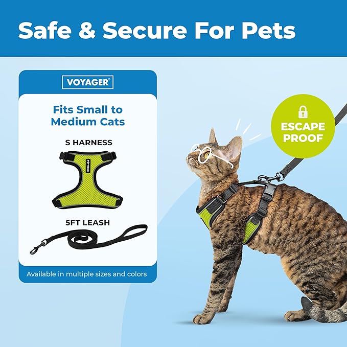 Voyager Escape-Proof Step-in Lock Cat Harness & 5ft Neoprene-Handle Leash Set All-Weather Mesh with Reflective Stitching for Small to Large Cats by Best Pet Supplies, Black Trim-Lime (327), S