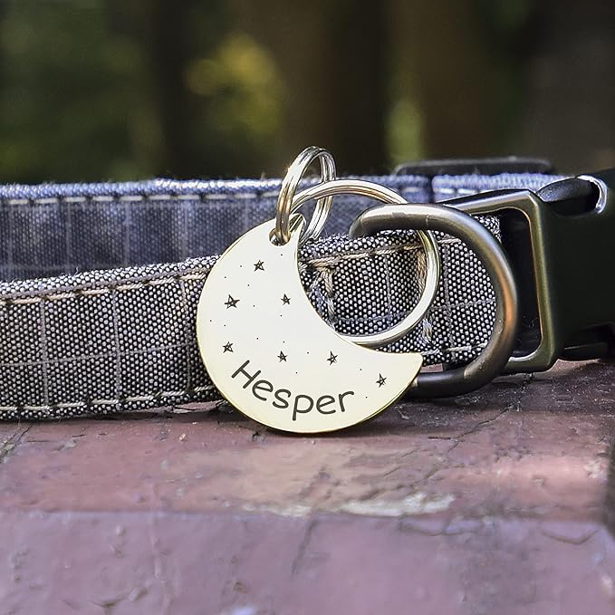 Anavia Small Size Dog Cat ID Tags, Small/XS Personalized Color Plated Stainless Steel Puppy Kitten Name Tags, Customized Engraved Nameplate Pet Collar Tag (Rose Gold, Moon)