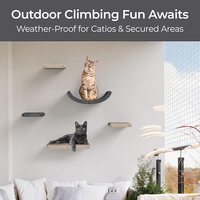 Wall Mounted Cat Hammock Bed by Pryde Pets - Floating Perch Curved Shelf, 100% Sustainable PET Felt Feline Enrichment Climber Furniture for Indoor Cats, Modern Climbing Gym Jungle Design (Oatmeal)