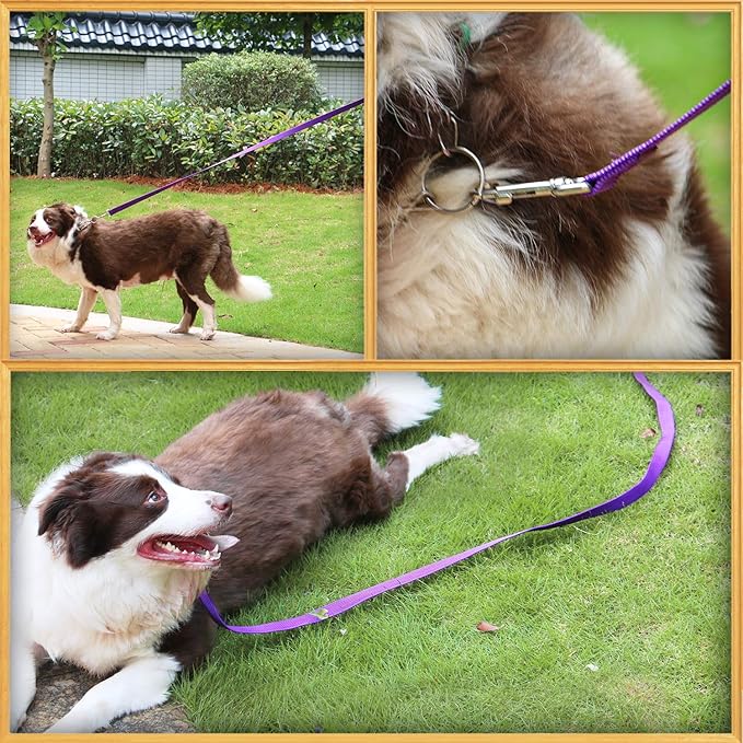 AmaGood Dog/Puppy Obedience Recall Training Long Dog Leash- 20 feet 30 feet 50 feet 15 feet Long Leash for Dogs Training,Recall,Play,Safety,Camping (Purple, 30 Foot (Pack of 1))