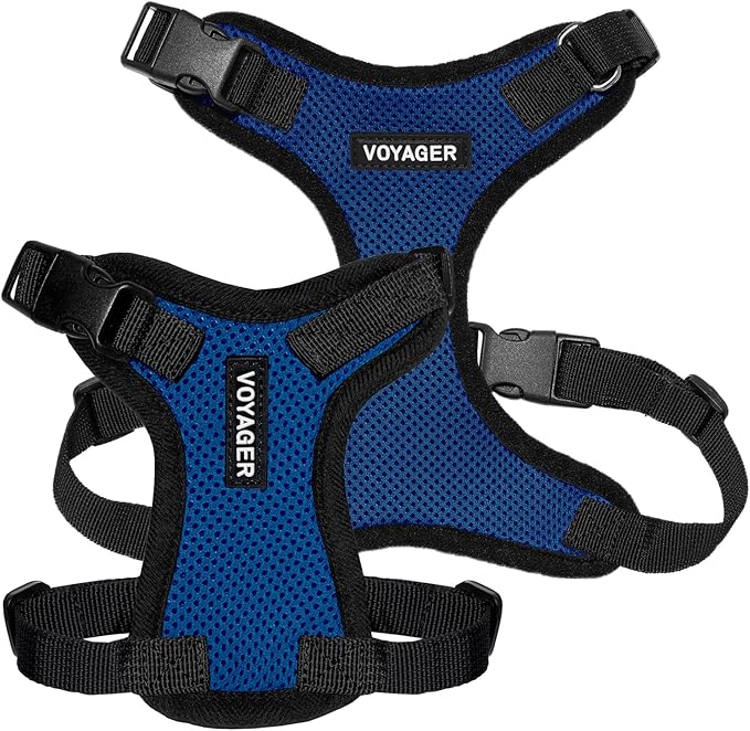 Voyager Step-in Pet Harness - All Weather Mesh, Adjustable Step in Harness for Cats and Dogs by Best Pet Supplies - Royal Blue/Black Trim, M