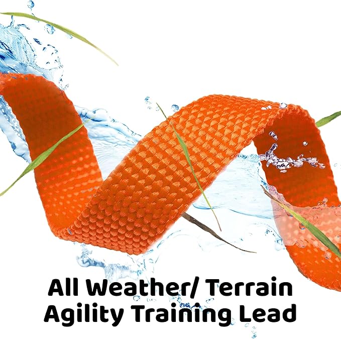 Long Dog Puppy Obedience Recall Training Agility Lead, Leash - ORANGE, 50' Foot - by, Downtown Pet Supply